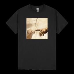 The Creation Of Adam Brown Cat