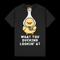 What You Ducking Lookin