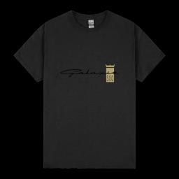 Galaxie 500 Emblem