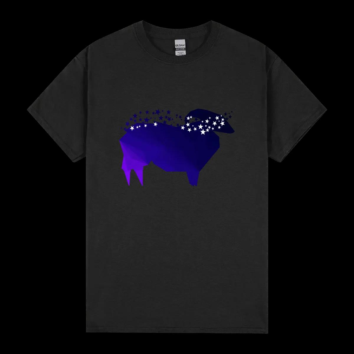 Aries Night I