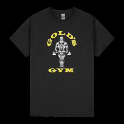 Gold Gym Workout Fitness