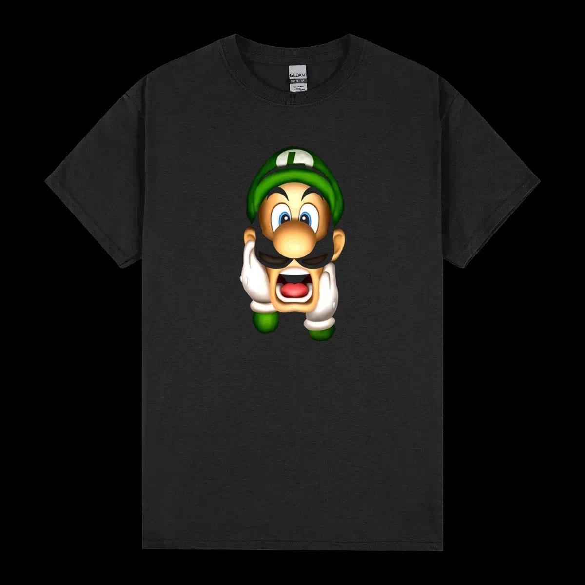 Luigis Mansion Luigi Video Game