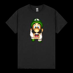 Luigis Mansion Luigi Video Game