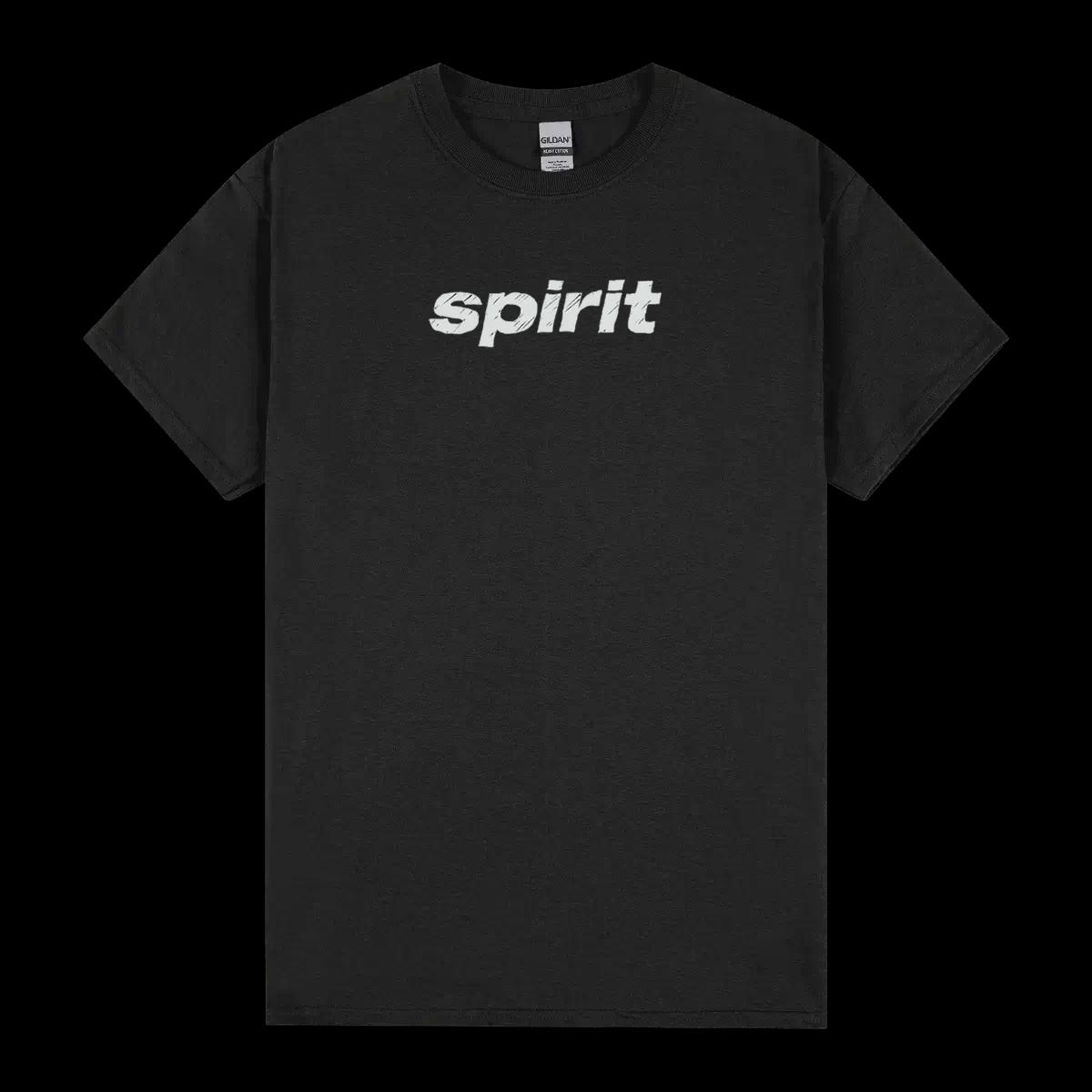 Spirit Airlines Travel Logo