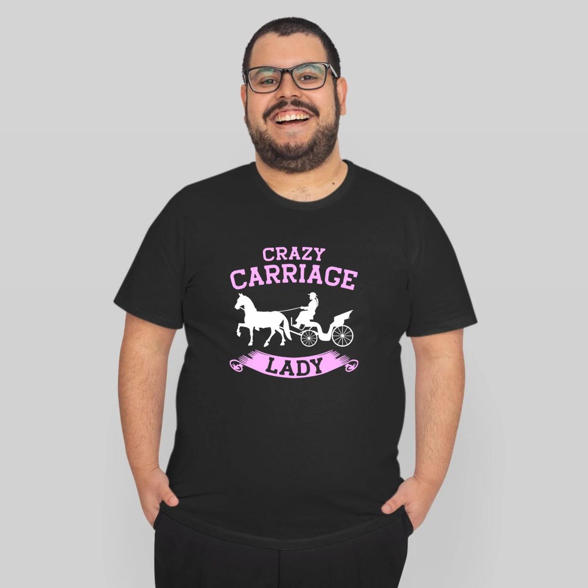 Horse Carriage Lady Coachman