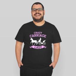 Horse Carriage Lady Coachman