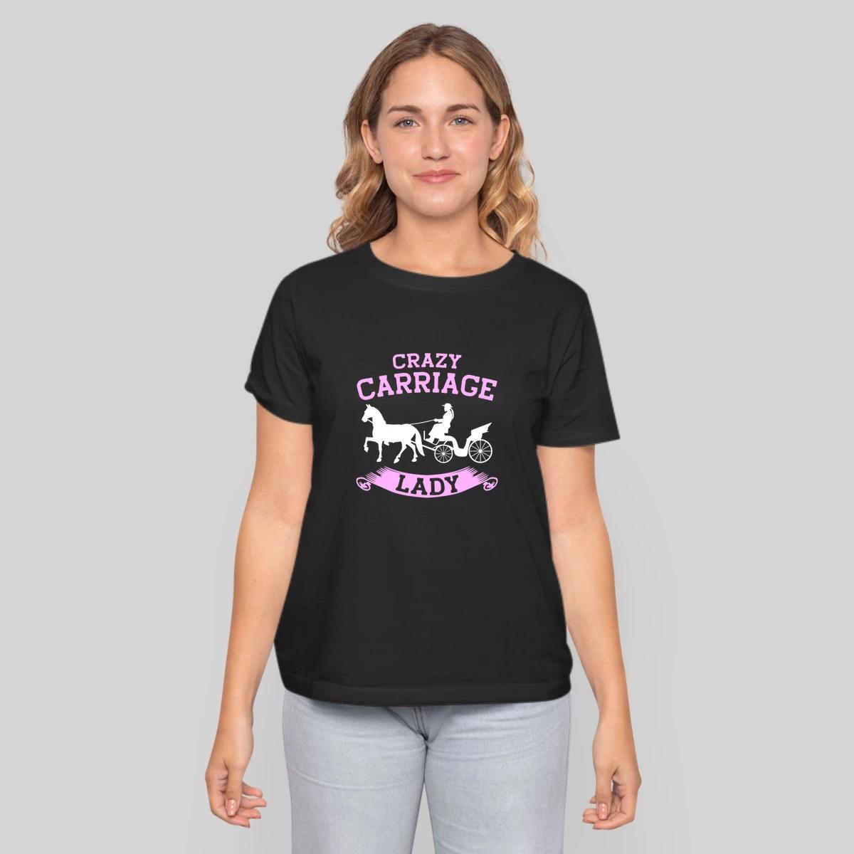 Horse Carriage Lady Coachman