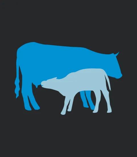 Cow And Calf Colored