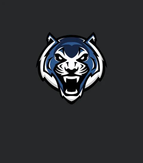 Blue Tiger Logo