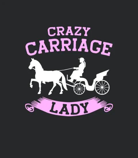 Horse Carriage Lady Coachman