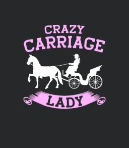 Horse Carriage Lady Coachman