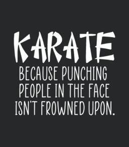 Karate Funny Quote