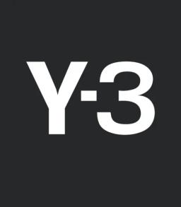 Y 3