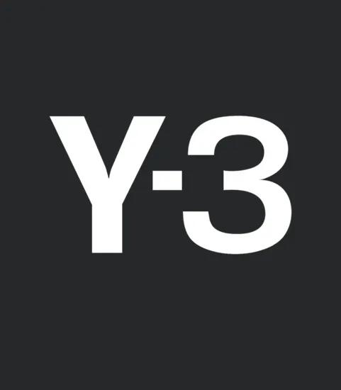 Y 3