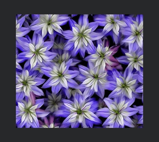 3d Bellflowers Tumbler Wrap