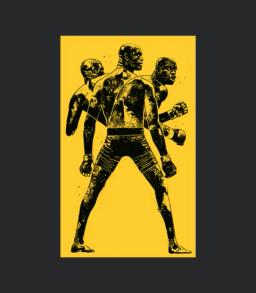 Anderson Silva The Spider