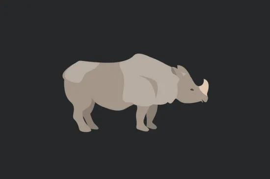 Animals Africa 11