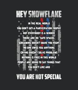Hey Snowflake
