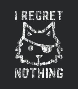 I Regret Nothing Pirate Cat