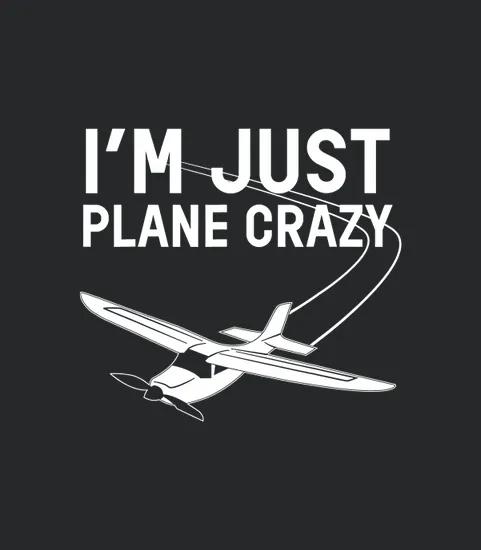 Im Just Plane Crazy