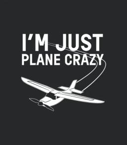 Im Just Plane Crazy