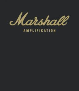 Marshall Amp Gold