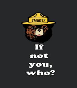 Smokey Bear If Not You Who