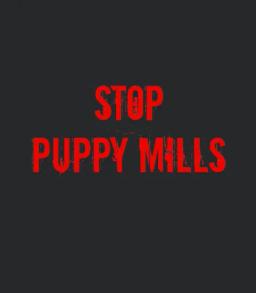 Stop Puppy Mills