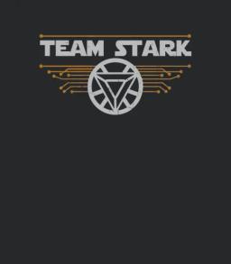 Team Stark Civil War Superhero