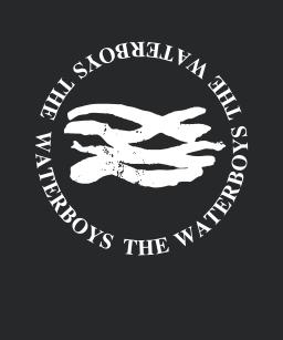 The Waterboys Band