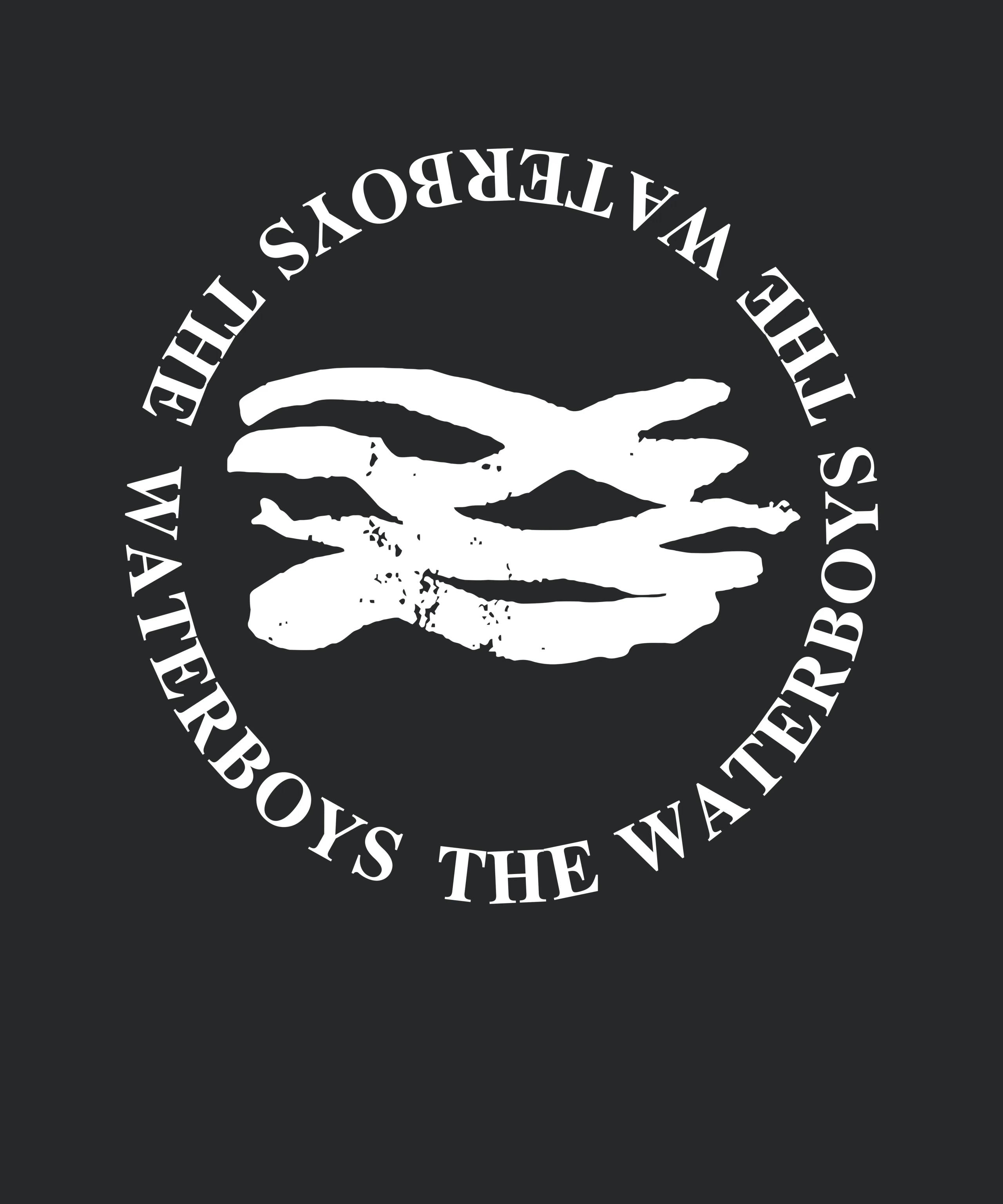 The Waterboys Band