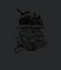 Wizarding School