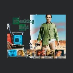 Breaking Bad Tv Show