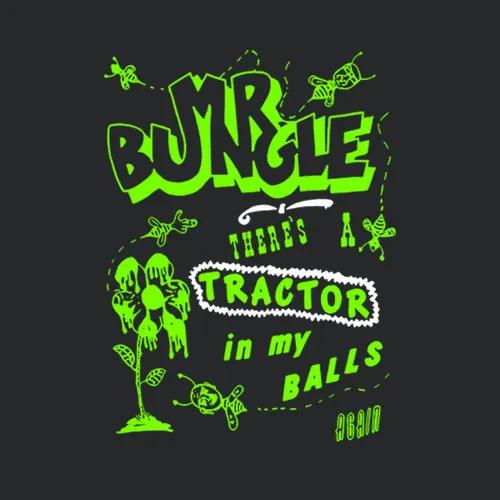 Mr Bungle