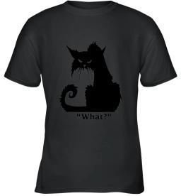 Angry Black Cat What