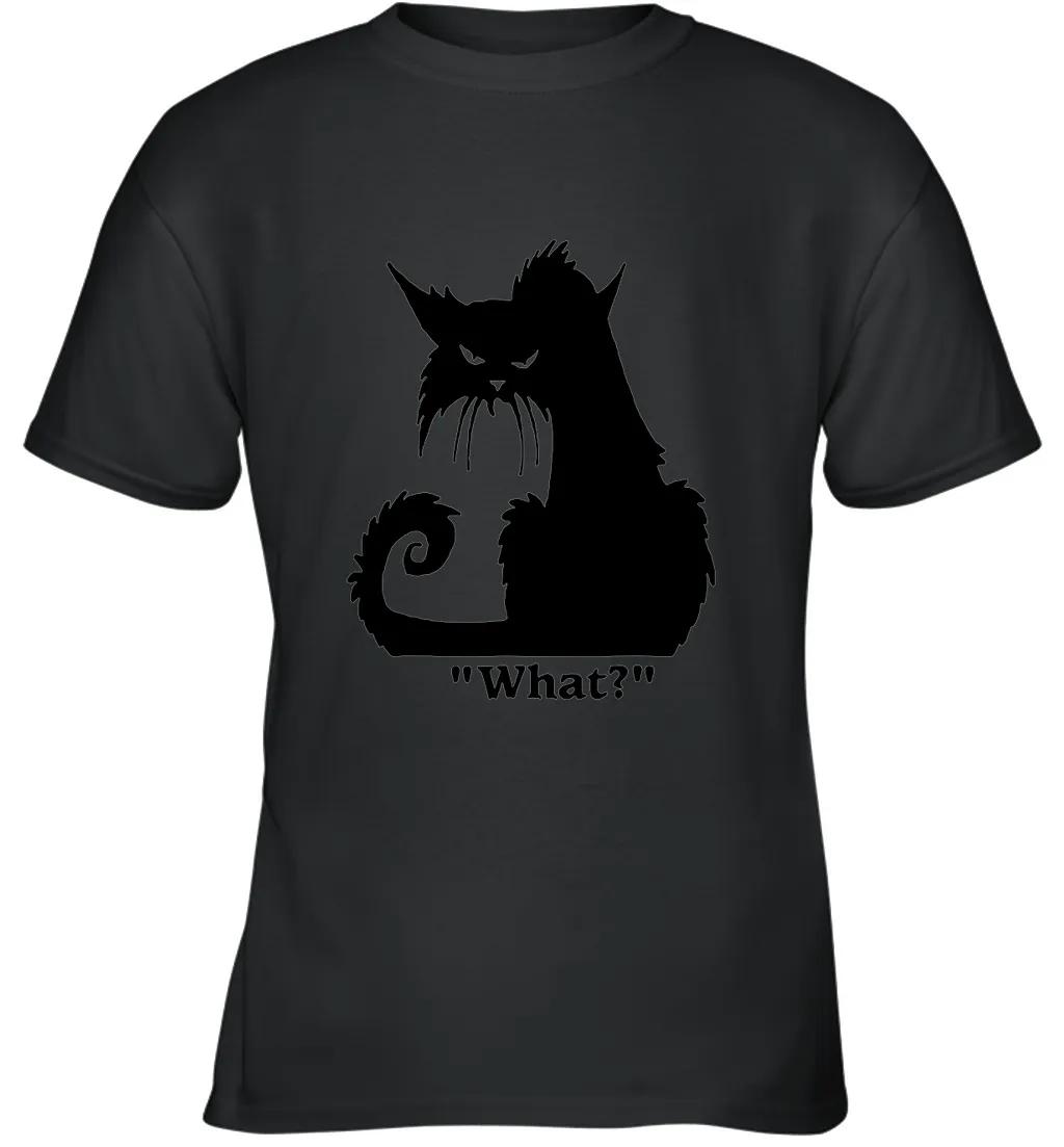 Angry Black Cat What