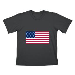 Flag Of The United States