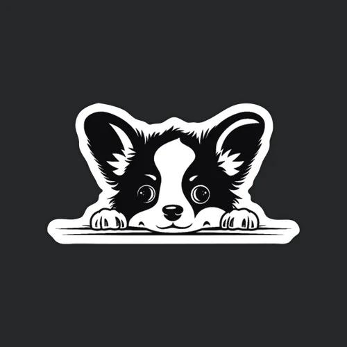 Pembroke Welsh Corgi