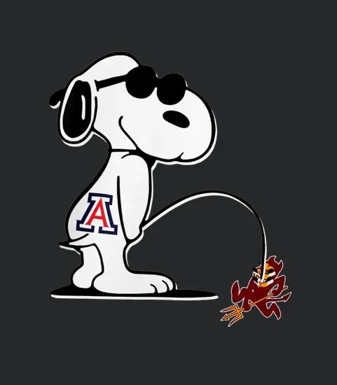 Arizona Wildcats