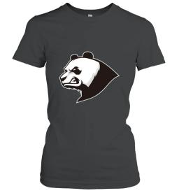Darth Panda 101 Logo