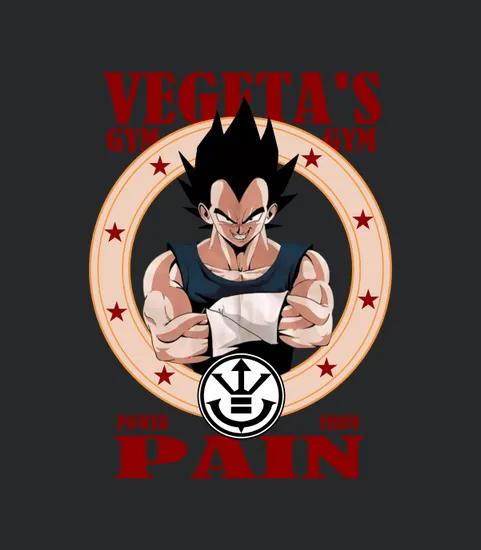 Vegetas Gym Power From Pain