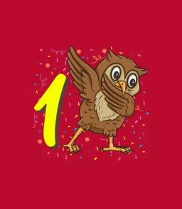 1 Year Old Owl Bird Birthday
