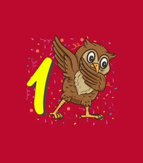 1 Year Old Owl Bird Birthday