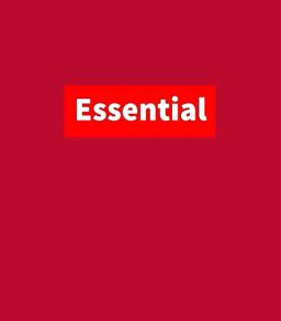 Essential Workers