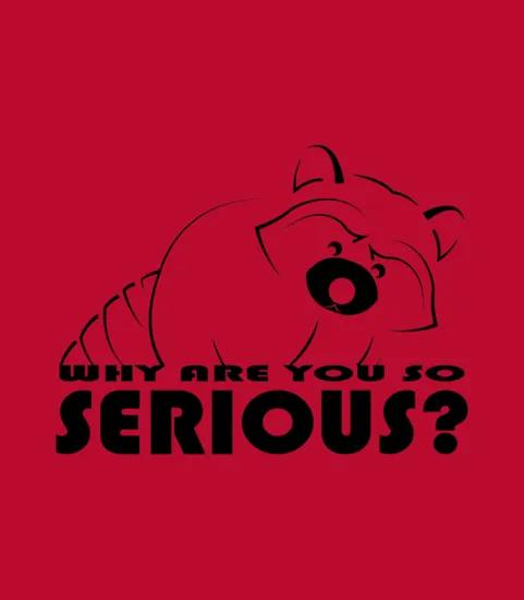 Raccoon Why Are You So Serious