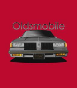 1987 Oldsmobile 442 Front Grey
