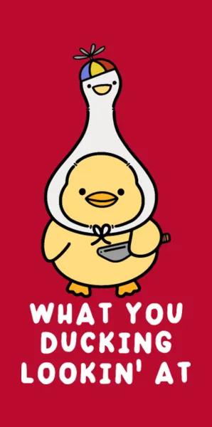 What You Ducking Lookin