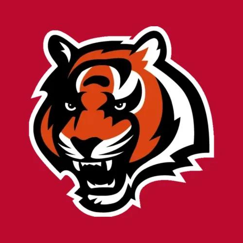 Nfl Logo Black Orange Logo