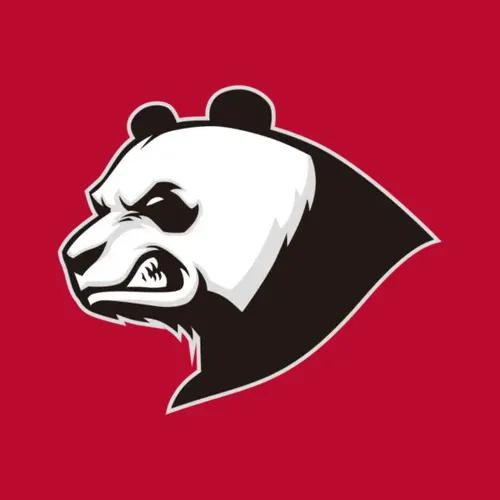 Darth Panda 101 Logo