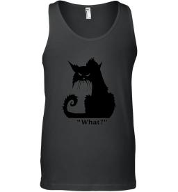 Angry Black Cat What